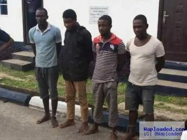 "Stop arresting innocent people in the name of looking for NDA operatives" - Avengers